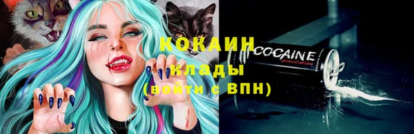 индика Абаза
