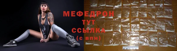 индика Абаза