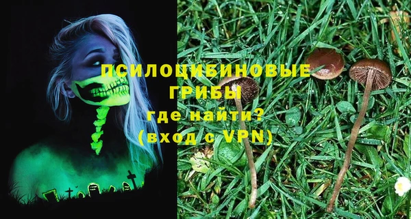 индика Абаза