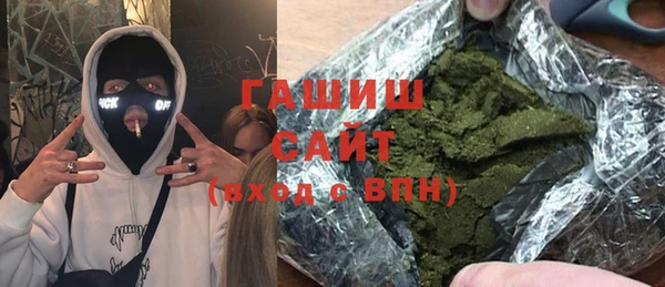 индика Абаза