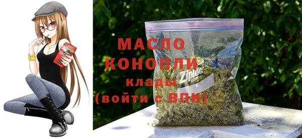 индика Абаза