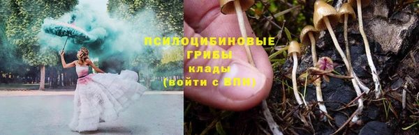 сатива Алексин